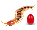 RC Creatures Remote Control Infrared Centipede